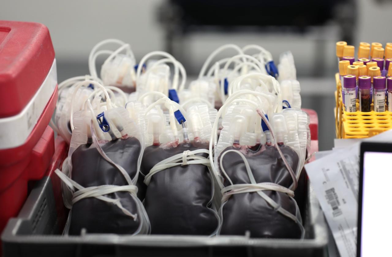 Prefeitura de Maricá promove campanha de doação de sangue neste sábado (10/01)